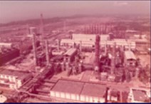 Audit Plant 1