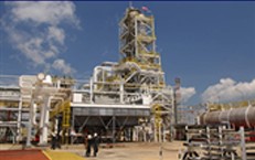 Audit Plant 2
