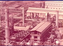 Audit Plant 3