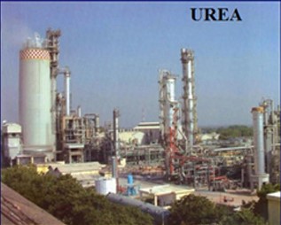 Urea Process