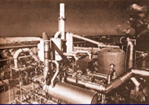 Plant Image