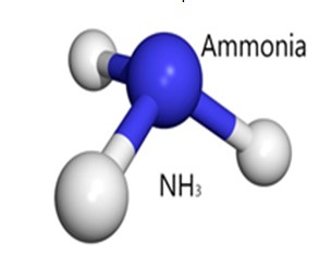 Ammonia Process