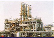 Plant Image