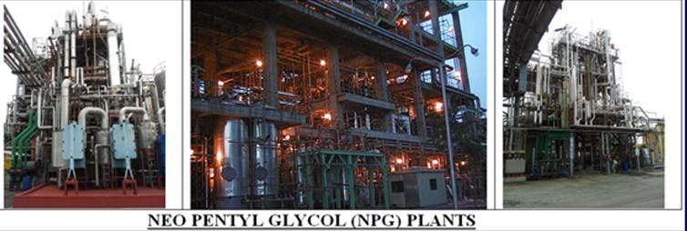 Plant 1